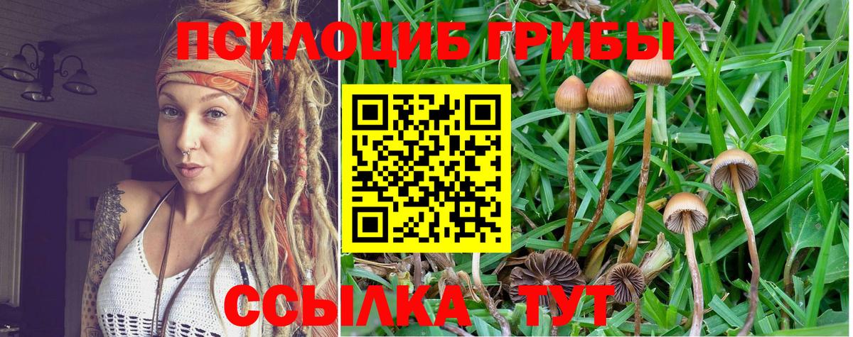 Псилоцибиновые грибы прущие грибы  Галлюциногенные грибы Magic Shrooms  Вход с VPN  купить закладку  Ртищево 